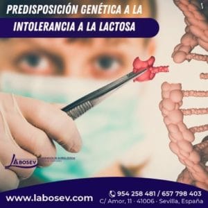 Predisposicion-genetica-a-la-Intolerancia-a-la-Lactosa