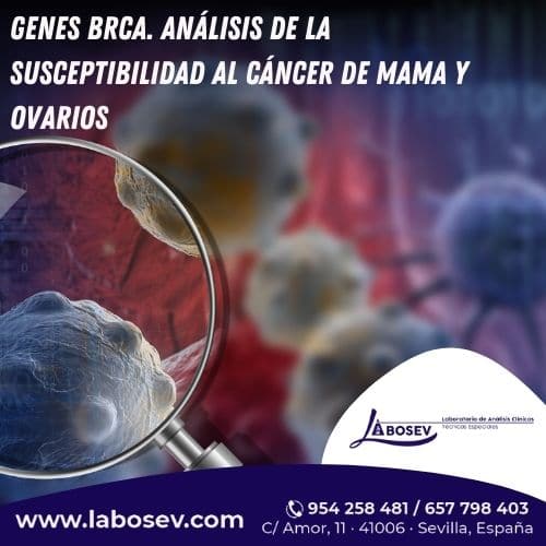 Genes-BRCA.-Analisis-de-la-susceptibilidad-al-cancer-de-mama-y-ovarios