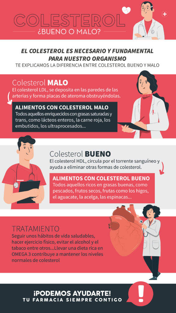 Infografia sobre el colesterol
